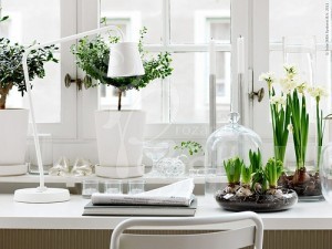 ФИТОДИЗАЙН КВАРТИРЫ