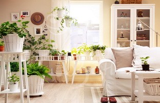 ФИТОДИЗАЙН КВАРТИРЫ